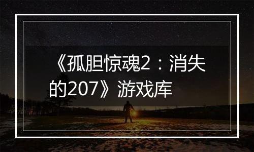 《孤胆惊魂2：消失的207》游戏库