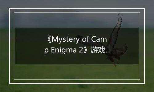 《Mystery of Camp Enigma 2》游戏库