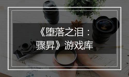 《堕落之泪：骤昇》游戏库