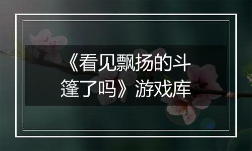 《看见飘扬的斗篷了吗》游戏库
