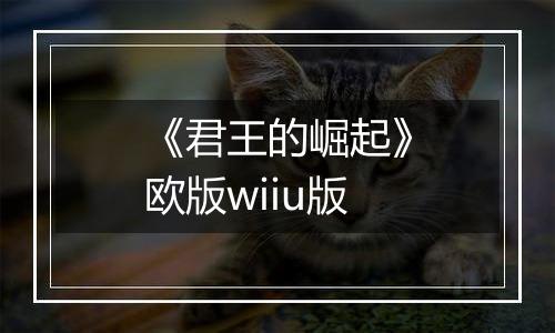 《君王的崛起》欧版wiiu版