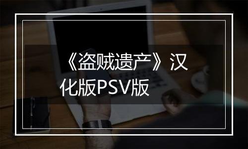 《盗贼遗产》汉化版PSV版