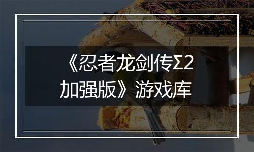 《忍者龙剑传Σ2加强版》游戏库