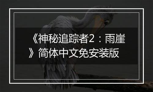 《神秘追踪者2：雨崖》简体中文免安装版