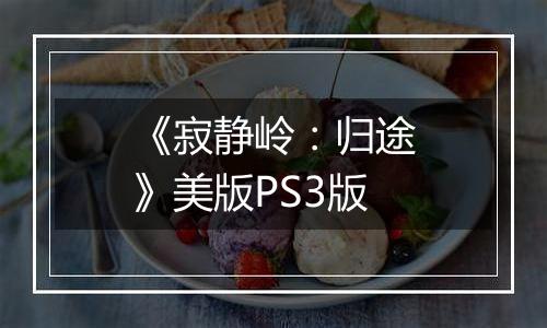 《寂静岭：归途》美版PS3版