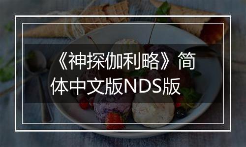 《神探伽利略》简体中文版NDS版