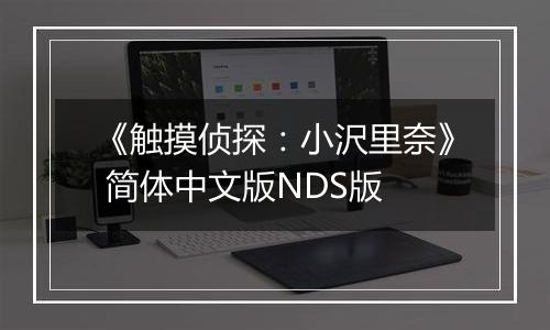 《触摸侦探：小沢里奈》 简体中文版NDS版