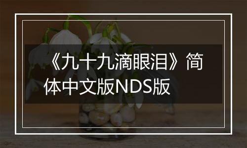 《九十九滴眼泪》简体中文版NDS版