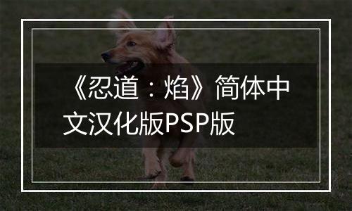 《忍道：焰》简体中文汉化版PSP版