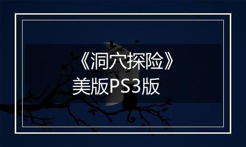《洞穴探险》美版PS3版