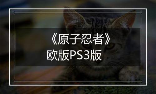 《原子忍者》欧版PS3版