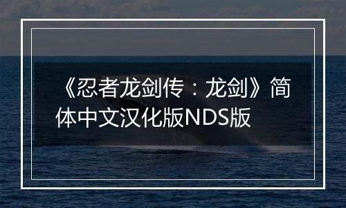 《忍者龙剑传：龙剑》简体中文汉化版NDS版