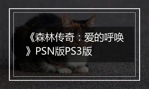 《森林传奇：爱的呼唤》PSN版PS3版