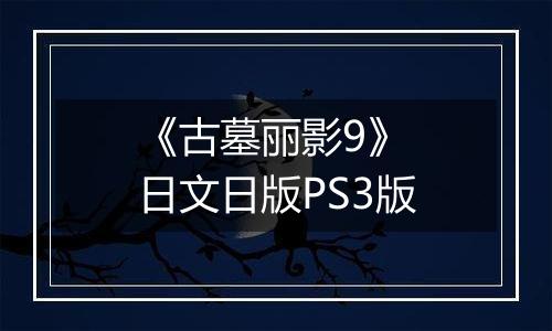 《古墓丽影9》 日文日版PS3版