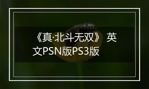 《真·北斗无双》 英文PSN版PS3版
