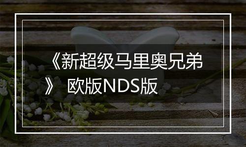 《新超级马里奥兄弟》 欧版NDS版