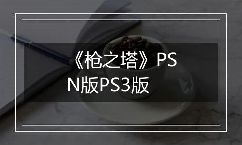 《枪之塔》PSN版PS3版
