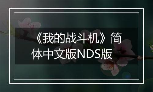 《我的战斗机》简体中文版NDS版