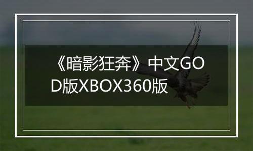 《暗影狂奔》中文GOD版XBOX360版