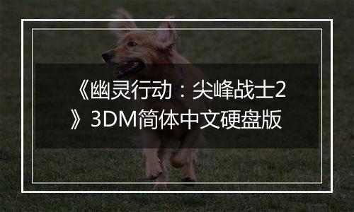《幽灵行动：尖峰战士2》3DM简体中文硬盘版