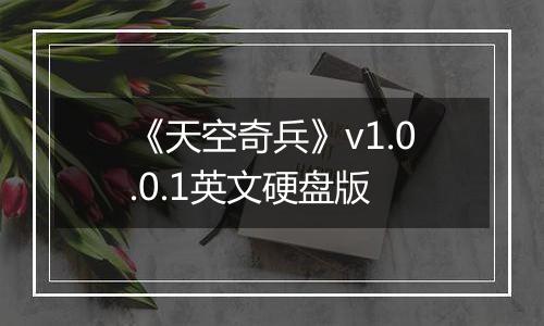《天空奇兵》v1.0.0.1英文硬盘版
