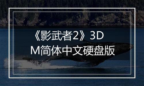 《影武者2》3DM简体中文硬盘版