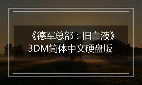 《德军总部：旧血液》3DM简体中文硬盘版