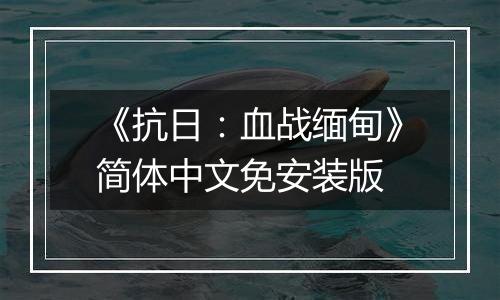 《抗日：血战缅甸》简体中文免安装版