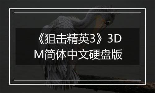 《狙击精英3》3DM简体中文硬盘版