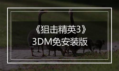 《狙击精英3》3DM免安装版