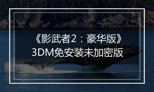 《影武者2：豪华版》3DM免安装未加密版