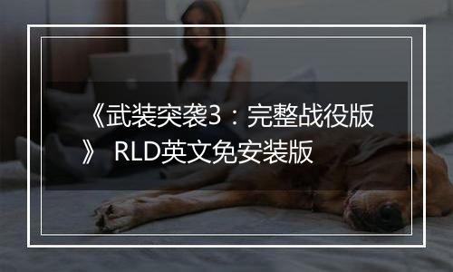 《武装突袭3：完整战役版》 RLD英文免安装版