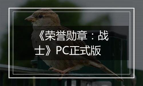 《荣誉勋章：战士》PC正式版