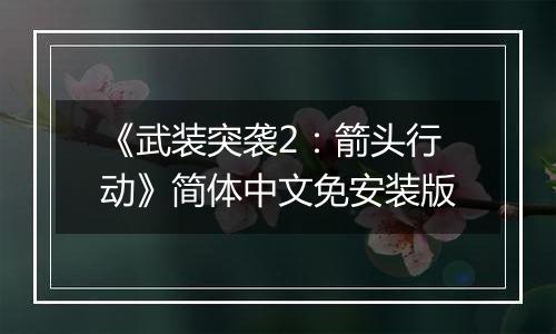 《武装突袭2：箭头行动》简体中文免安装版