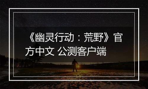 《幽灵行动：荒野》官方中文 公测客户端