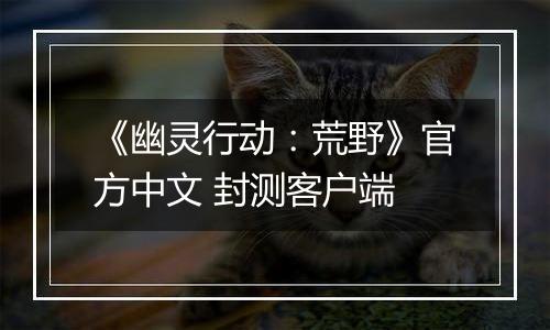 《幽灵行动：荒野》官方中文 封测客户端