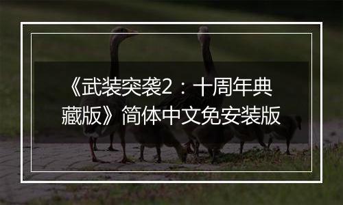 《武装突袭2：十周年典藏版》简体中文免安装版