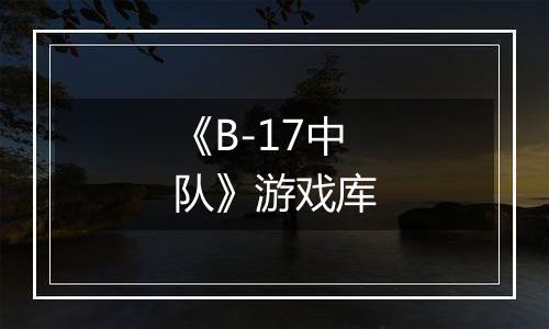 《B-17中队》游戏库