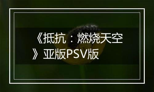 《抵抗：燃烧天空》亚版PSV版