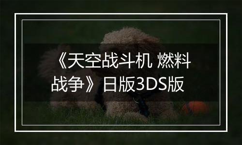 《天空战斗机 燃料战争》日版3DS版