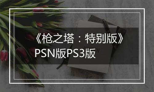 《枪之塔：特别版》 PSN版PS3版