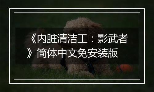 《内脏清洁工：影武者》简体中文免安装版