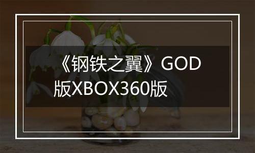 《钢铁之翼》GOD版XBOX360版