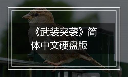 《武装突袭》简体中文硬盘版