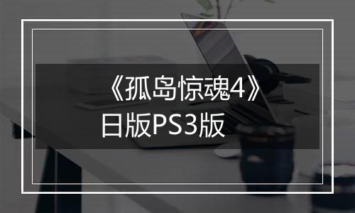《孤岛惊魂4》日版PS3版