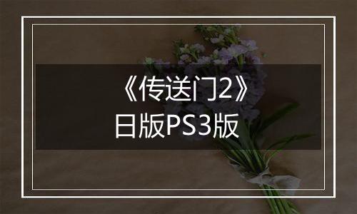 《传送门2》日版PS3版