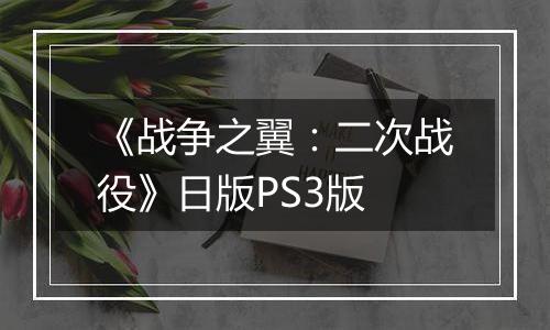 《战争之翼：二次战役》日版PS3版