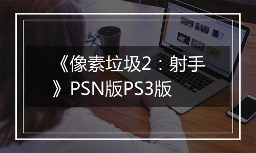 《像素垃圾2：射手》PSN版PS3版