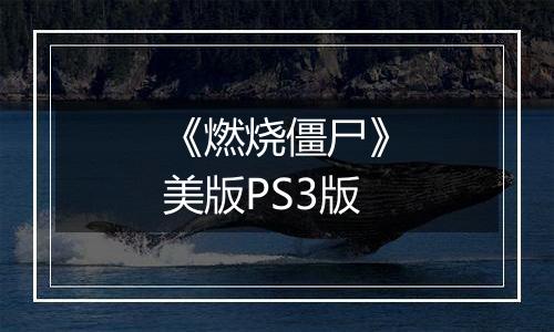 《燃烧僵尸》美版PS3版
