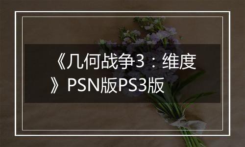 《几何战争3：维度》PSN版PS3版